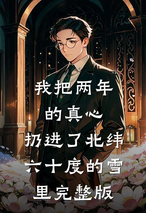 我把两年的真心，扔进了北纬六十度的雪里完整版