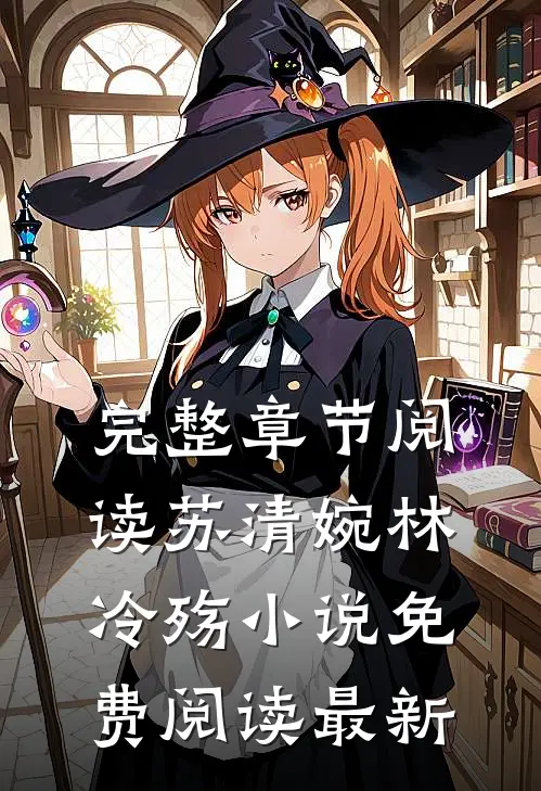 完整章节阅读苏清婉林冷殇小说免费阅读最新